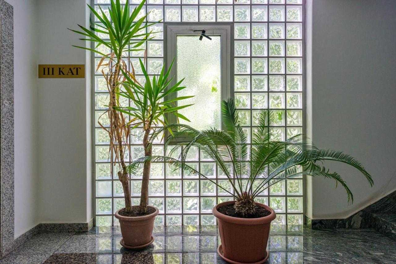 דוברובניק "Didu Studio" 20 Min Walk To Old Town מראה חיצוני תמונה